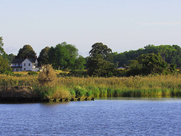istock Summer on the Chesapeake Bay 490473650
