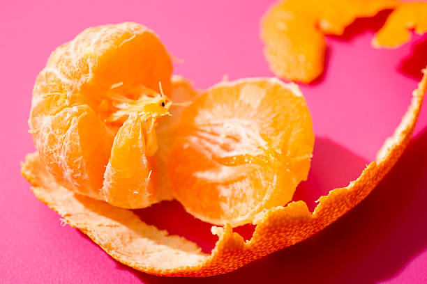 istock Peeled satsuma close up 490476530