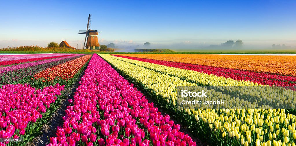 Dutch scène de printemps - Photo de Pays-Bas libre de droits