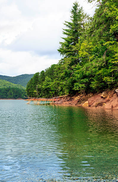 istock Lake - Great Smoky Mountains National Park 490477618