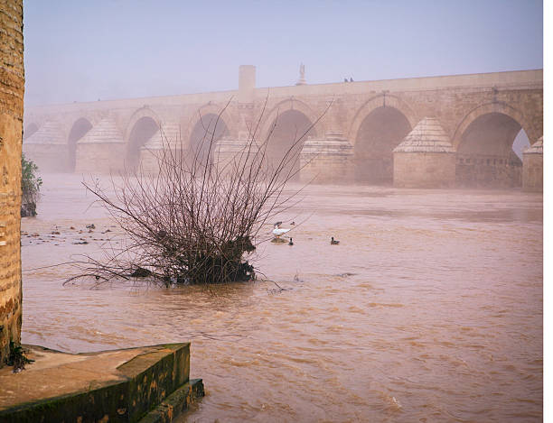 A moody winter image of the river Guadalquivir in Cordoba.... This is the 2nd longest river in Spain, with its 657 km.