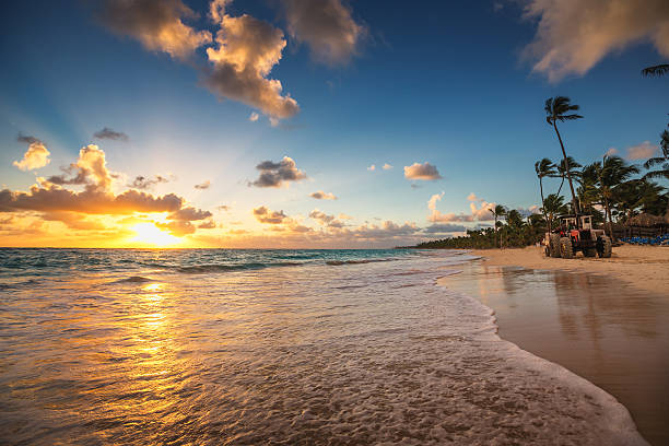 istock Palm trees sandy beach and cleaning tractor on sunrise 490478366