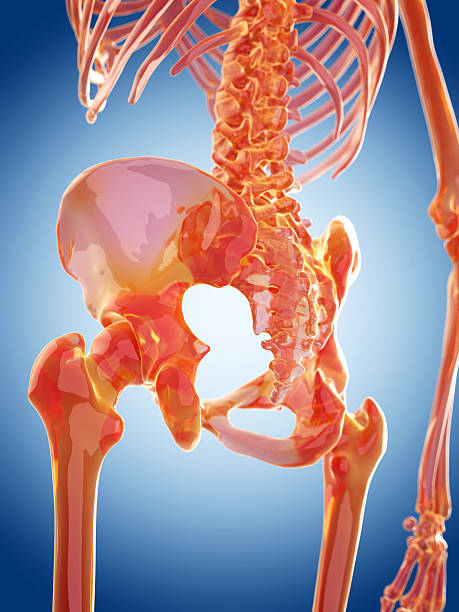 istock medical illustration 490479294