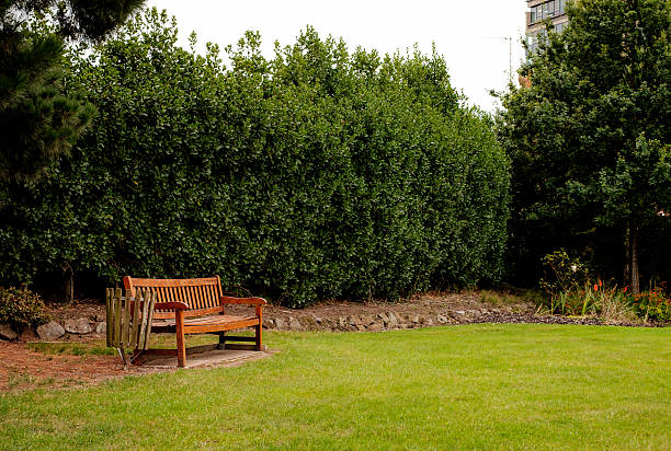 Wooden armchair in the garden stock photo