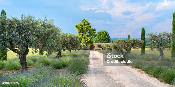 Farm In Provence Stock Photo - Download Image Now - 2015, Agricultural Field, Agriculture