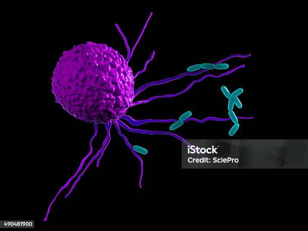 Medical Illustration Stock Photo - Download Image Now - Oncology, Hematology, Immune System