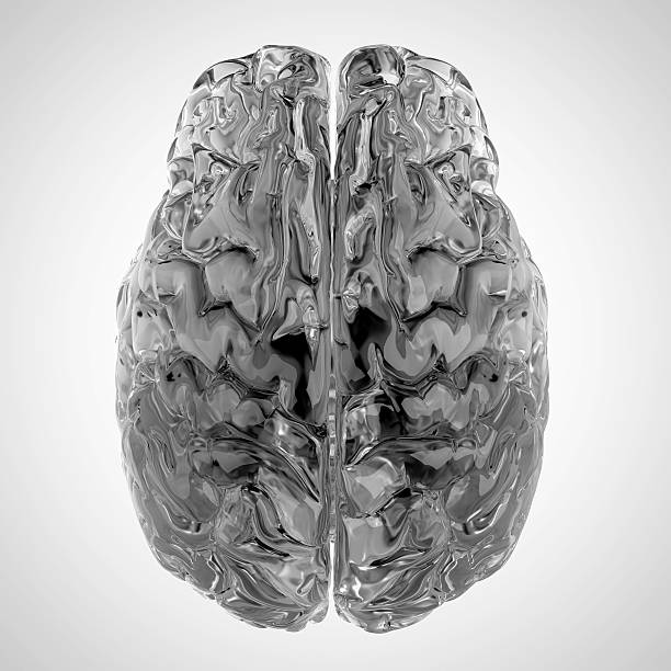 istock medical illustration 490482180