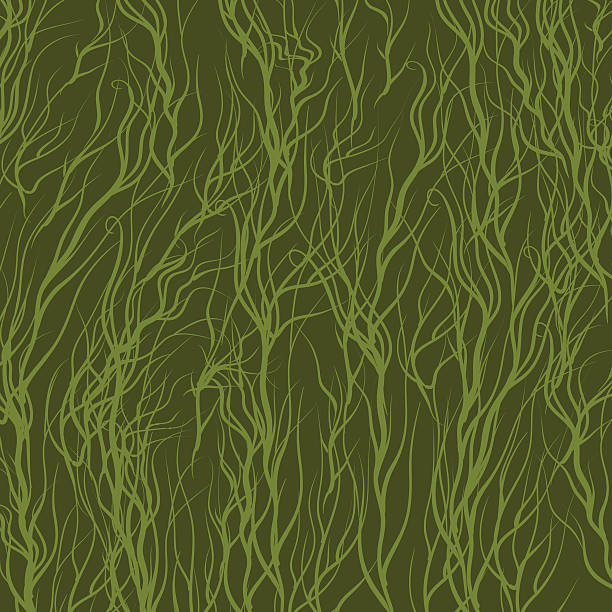 Tonal Background Pattern 20+ Tonal Pattern Stock Photos, Pictures & Royalty-Free Images - iStock