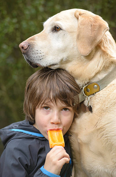 istock Child eating ice cream with your dog 490484080
