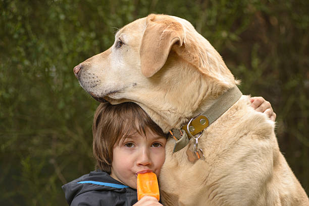 istock Child eating ice cream with your dog 490484190