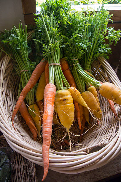 istock Organic Carrots in a Basket 490486720