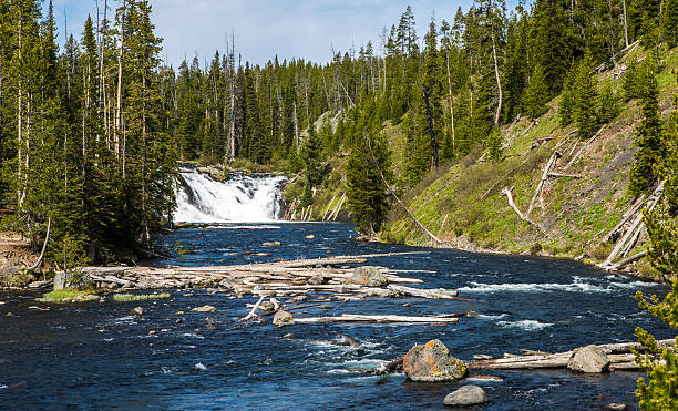 istock Yellowstone National Park 490487388