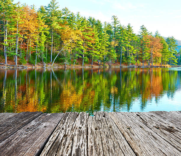 istock Pond in White Mountain National Forest, New Hampshire 490487940