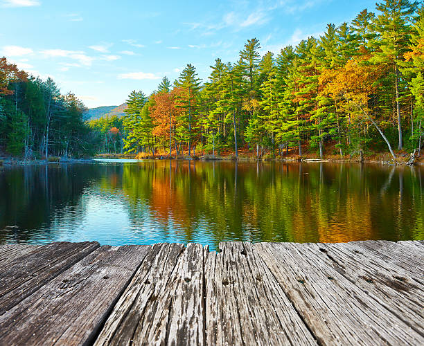 istock Pond in White Mountain National Forest, New Hampshire 490487962