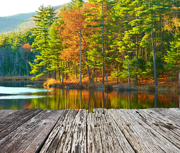 istock Pond in White Mountain National Forest, New Hampshire 490487986