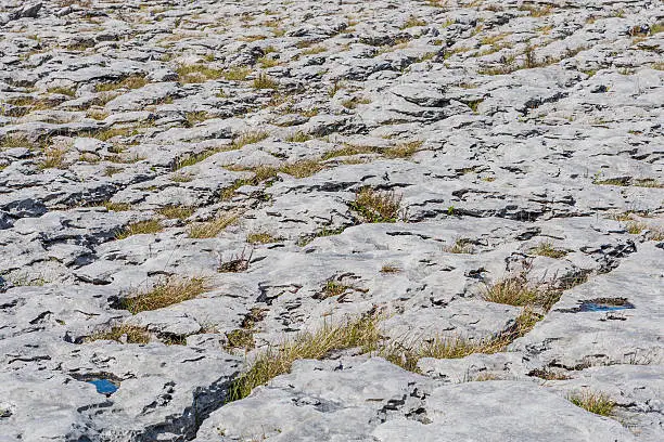 Burren region, Clare, Ireland - August 23, 2010: The Burren measures 250 square kilometres and is enclosed roughly within the circle made by the villages of Ballyvaughan, Kilfenora and Lisdoonvarna.