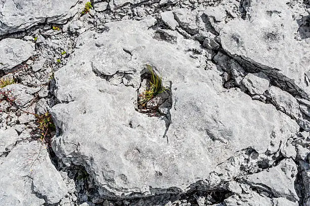 Burren region, Clare, Ireland - August 23, 2010: The Burren measures 250 square kilometres and is enclosed roughly within the circle made by the villages of Ballyvaughan, Kilfenora and Lisdoonvarna.Burren region, Clare, Ireland - August 23, 2010: The Burren measures 250 square kilometres and is enclosed roughly within the circle made by the villages of Ballyvaughan, Kilfenora and Lisdoonvarna.