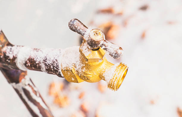 frozen outdoor water faucet covered in snowflakes - 凍結的 個照片及圖片檔