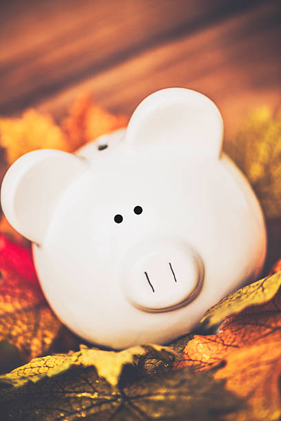 istock Fall Savings. Piggy bank amongst fall leaves with copyspace 490504434