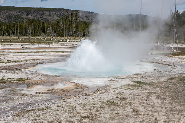 istock Yellowstone National Park 490505370