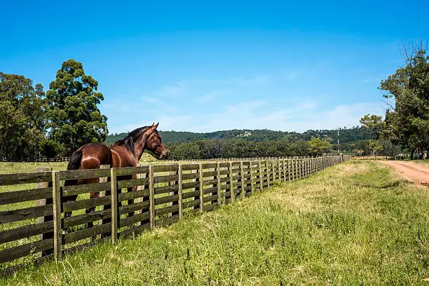 Photo of Countryside in Maldonado Department of Uruguay