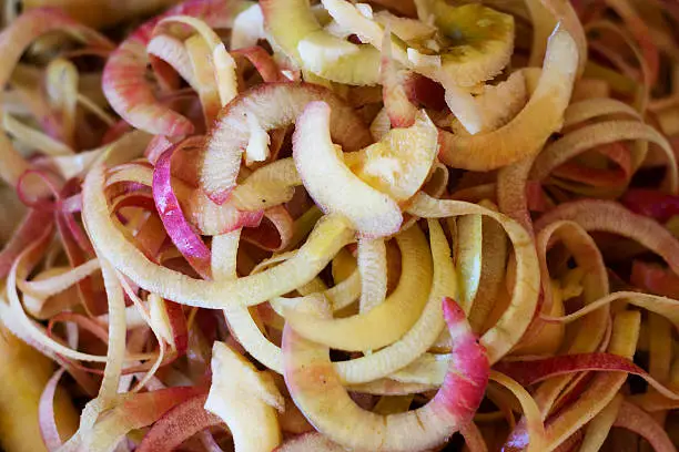 Peels and cores of fresh apple left from making apple sauce.
