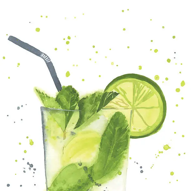 Vector illustration of mojito 3