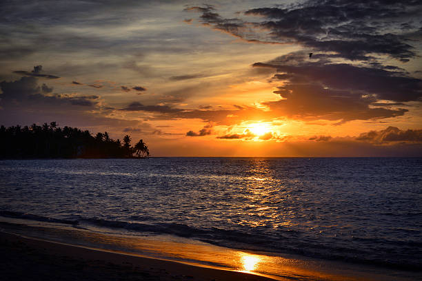 istock Seascape, cloudy sky, sunset, El Portillo Beach Samana 490509936