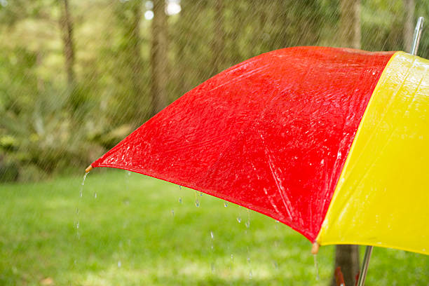 istock Rainy day. Raindrops falling on colorful umbrella outdoors. Spring, summer. 490510168