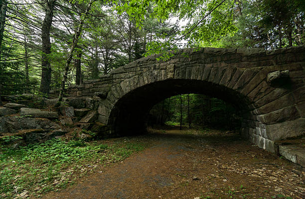 istock Acadia National Park Bubble Pond Bridge on an Angle 490512878