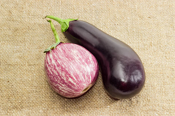 istock Conventional eggplant and graffiti eggplant on a sackcloth 490513248