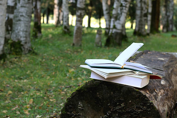 istock books on a bench in the school year 490513458