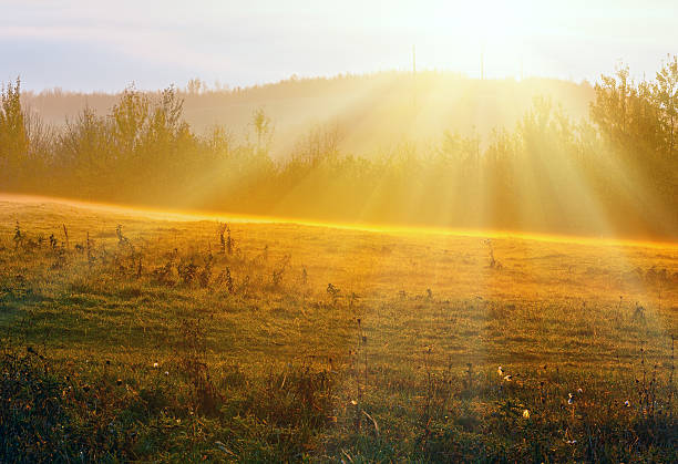 Sunrise country autumn landscape