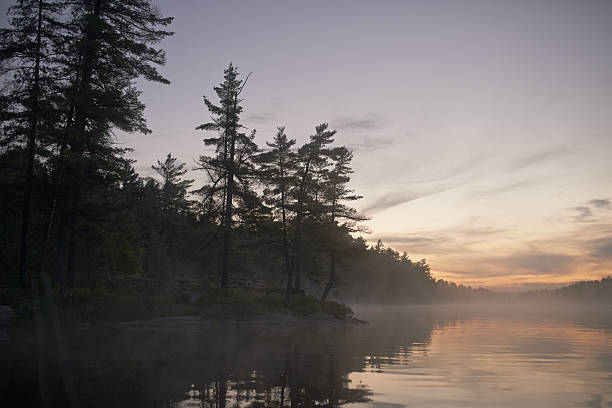 istock Nature in all of her glory 490514216