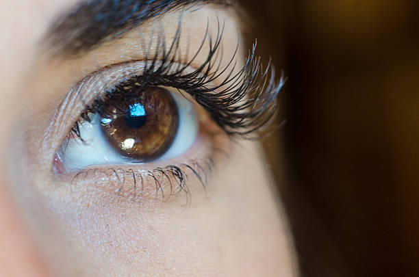 istock Close-up, female brown eye, no make up, Lashes extension, eyebrown 490515552