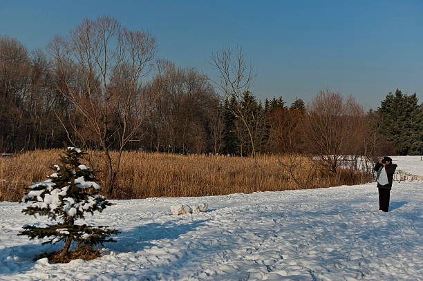 istock Winter forest and field  in the South park 490517766