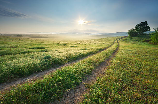 istock Road lane and deep morning sky. 490523165