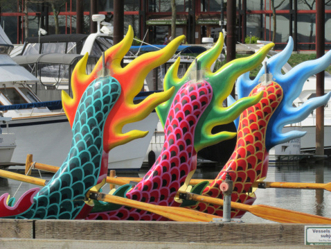 Dragon boats docked In Portland, Oregon. Close up of the tails of the boats.