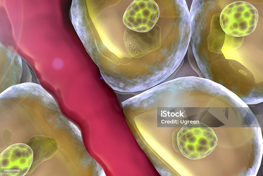 Molécula - Foto de stock de Anatomía libre de derechos