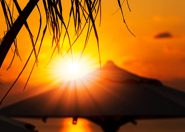 Vacation time: Amazing dawn with parasol and palms by the ocean