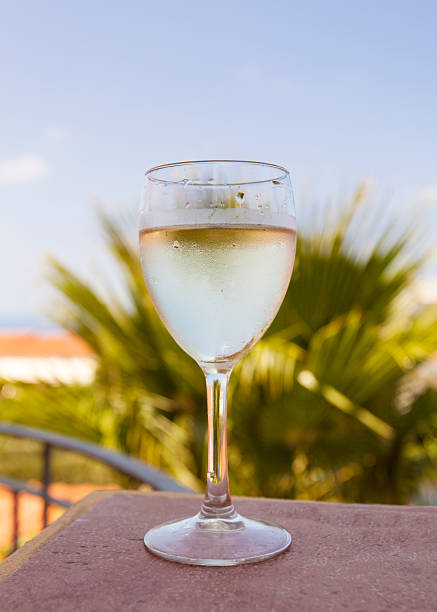 istock Glass of white wine over natural background 490527697