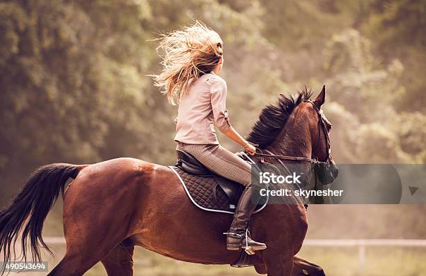女性彼女の馬の屋外の練習をしてください - ウマのストックフォトや画像を多数ご用意 - ウマ, 乗馬, 女性