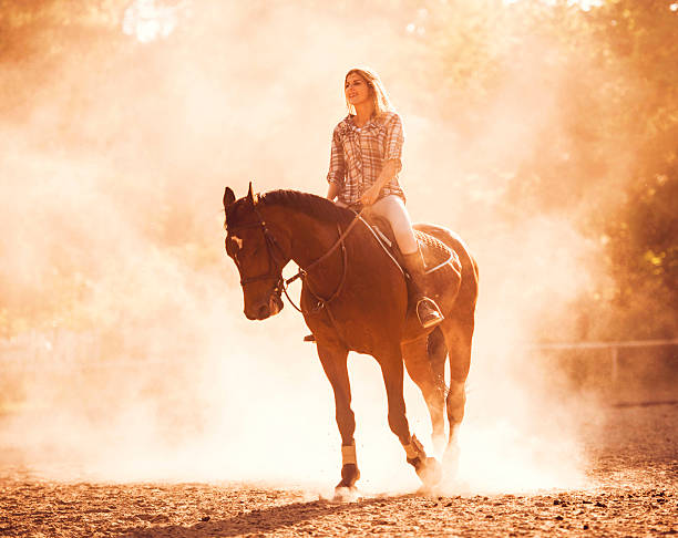 istock Smiling woman practicing with her horse at sunset. 490544156