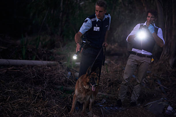 They'll get their man! Shot of two policemen and their canine tracking a suspect through the brush at nighthttp://195.154.178.81/DATA/i_collage/pi/shoots/783966.jpg animal call photos stock pictures, royalty-free photos & images
