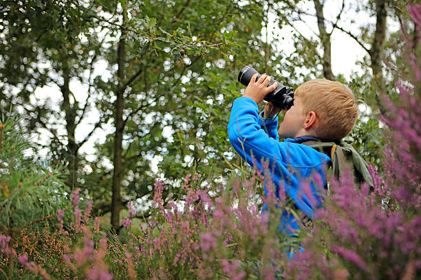 Boy Looking Up Through Binoculars in a Forest in Heathland