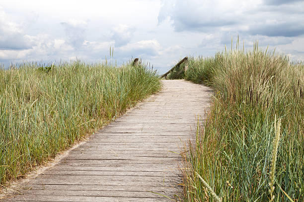 istock Germany, Schleswig-Holstein, wooden boradwalk 490547058