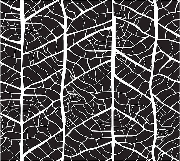 вен бесшовная текстура с рисунком в виде листьев - leaf vein stock illustrations