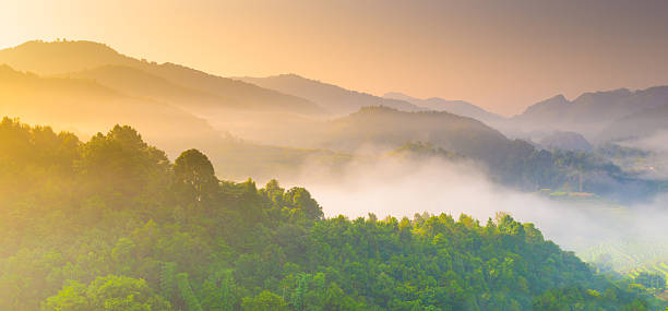 istock Panoramic view misty morning sunrise in mountain at north Thailand 490547722