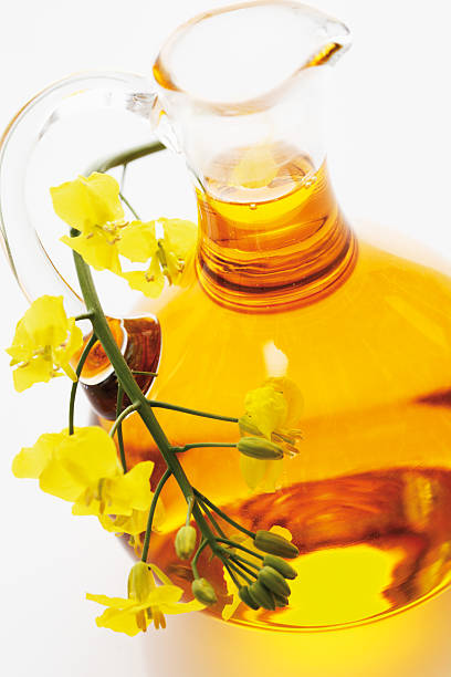 istock Rapeseed oil in jar with rape blossom on white background 490548498