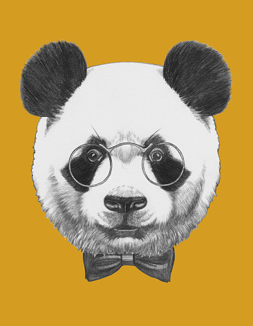 Original drawing of Panda with glasses and bow tie. Isolated 